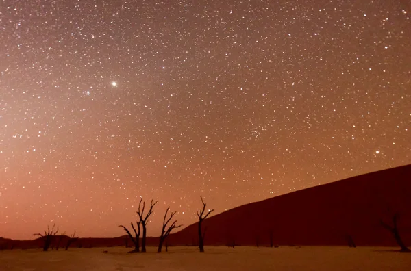 Dead Vlei, Namibia at Dusk — Stock Photo, Image