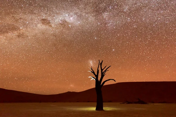 Dead Vlei, Namibia at Dusk — Stock Photo, Image