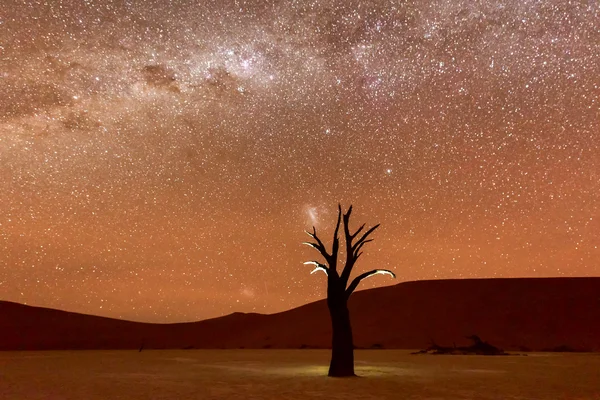 Dead Vlei, Namibia at Dusk — Stock Photo, Image