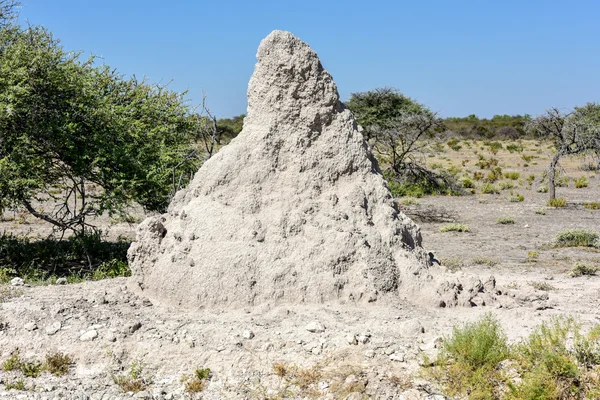 Termite Mound - Namibia — Stok Foto