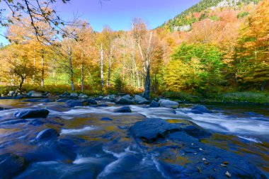 Yeşillik, New York Adirondacks düşmek