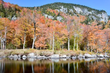 Yeşillik, New York Adirondacks düşmek