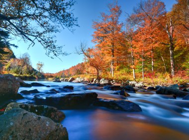 Yeşillik, New York Adirondacks düşmek