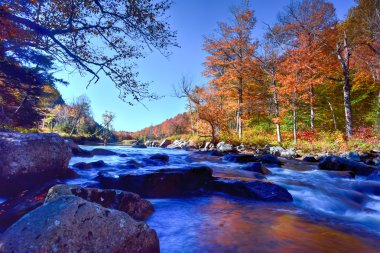 Yeşillik, New York Adirondacks düşmek