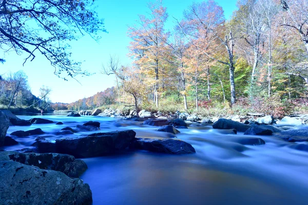 Follaje de otoño Adirondacks, Nueva York — Foto de Stock