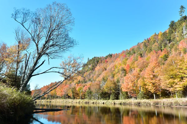 Follaje de otoño Adirondacks, Nueva York — Foto de Stock