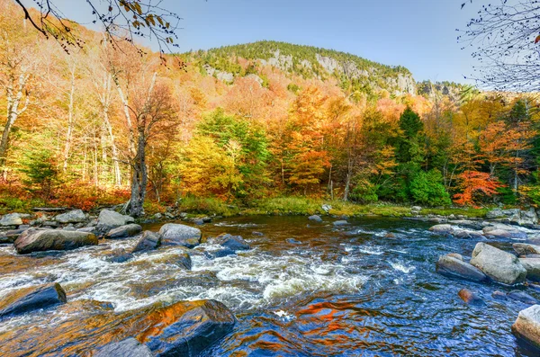 Adirondacks spadek liści, Nowy Jork — Zdjęcie stockowe