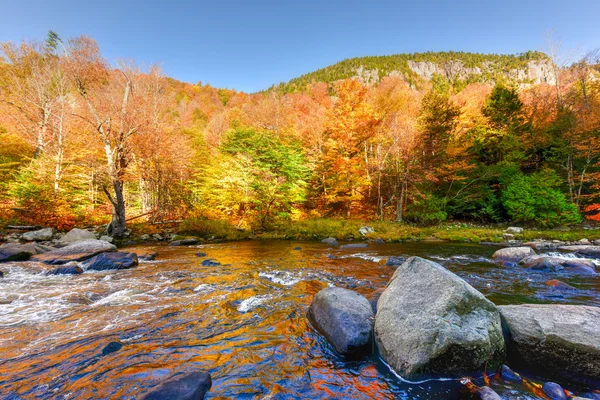 Follaje de otoño Adirondacks, Nueva York — Foto de Stock