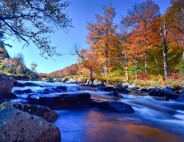 Yeşillik, New York Adirondacks düşmek