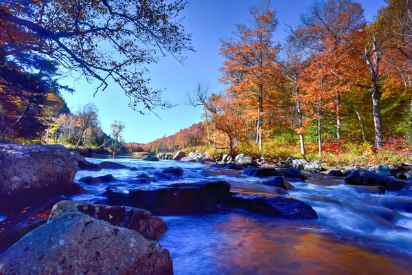 Follaje de otoño Adirondacks, Nueva York — Foto de Stock