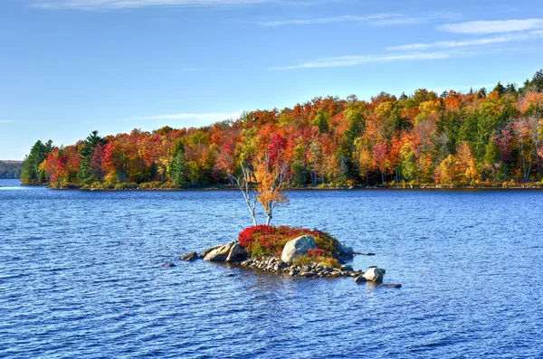 Felseninsel Bay Herbst Laub, New York — Stockfoto