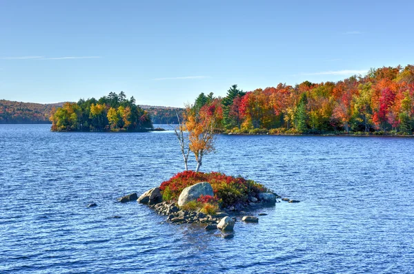 Felseninsel Bay Herbst Laub, New York — Stockfoto