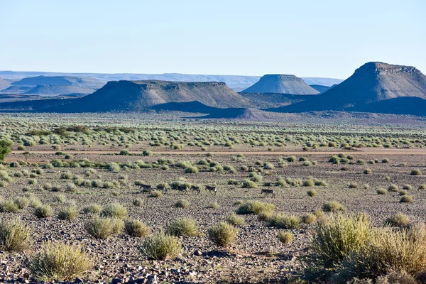 Fish river canyon -namibia, afrika — Stockfoto