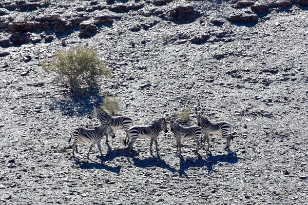 Fish River Canyon-Namibia, África —  Fotos de Stock