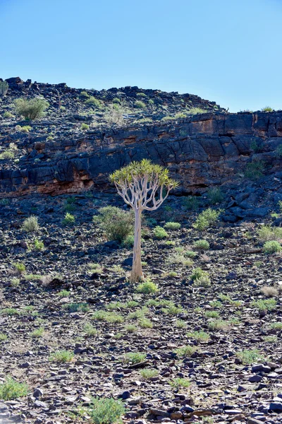 Fish River Canyon -Namibia, Africa — Stock Photo, Image