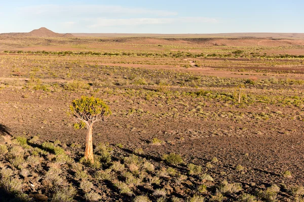 Fish River Canyon-Namibia, África — Foto de Stock