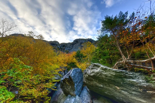 Fogliame autunnale Vermont — Foto Stock