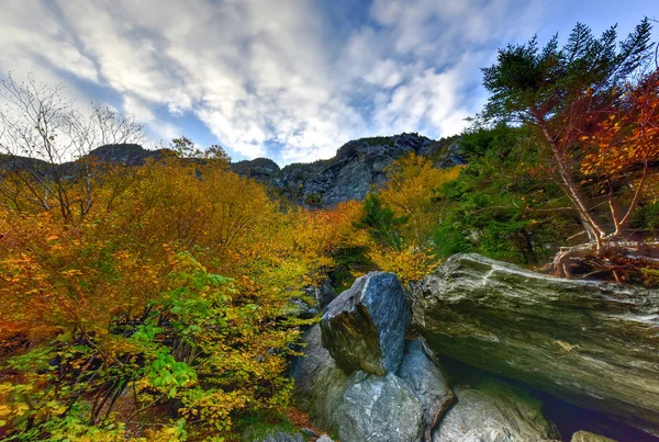 Fall Foliage Vermont — Stock Photo, Image