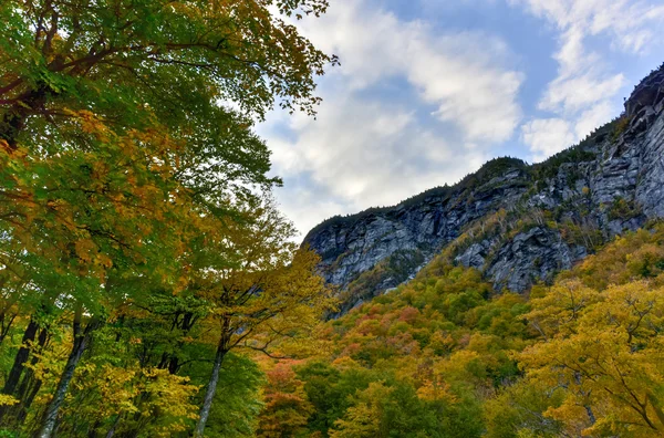 Fogliame autunnale Vermont — Foto Stock