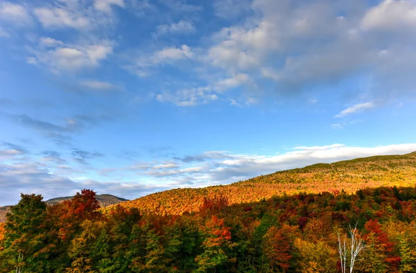 Sonbaharda yapraklar Vermont