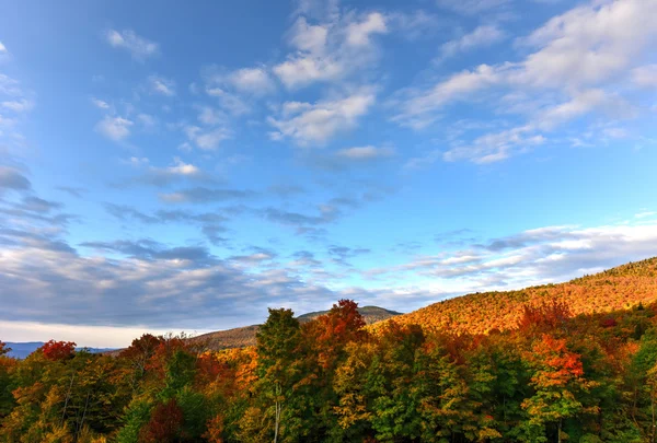 Sonbaharda yapraklar Vermont — Stok fotoğraf