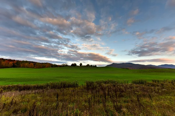 Falla lövverk Vermont — Stockfoto