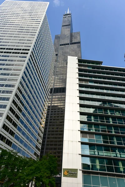 Willis Tower - Chicago — Stok fotoğraf