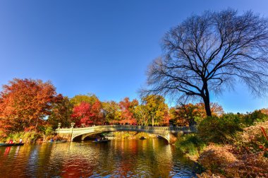 Köprü, sonbahar Central Park'ta yay