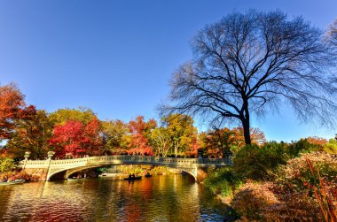 Köprü, sonbahar Central Park'ta yay