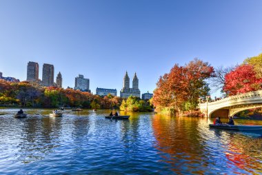 Köprü, sonbahar Central Park'ta yay