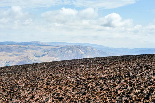 Paisaje quemado, Swazilandia — Foto de Stock