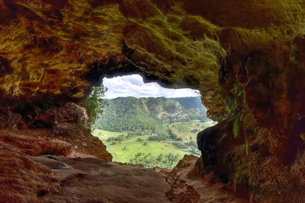 Окно в пещеру - Пуэрто-Рико — стоковое фото