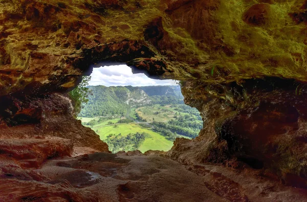 Window jeskyně - Puerto Rico — Stock fotografie