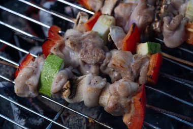 Çimlerin üzerinde piknik. Tavuk ve sebzeli Yakitori, ızgara..