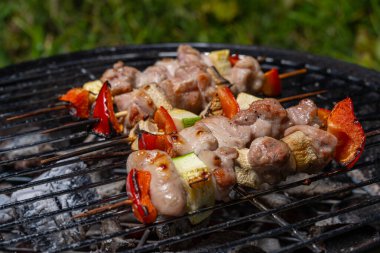 Çimlerin üzerinde piknik. Tavuk ve sebzeli Yakitori, ızgara..