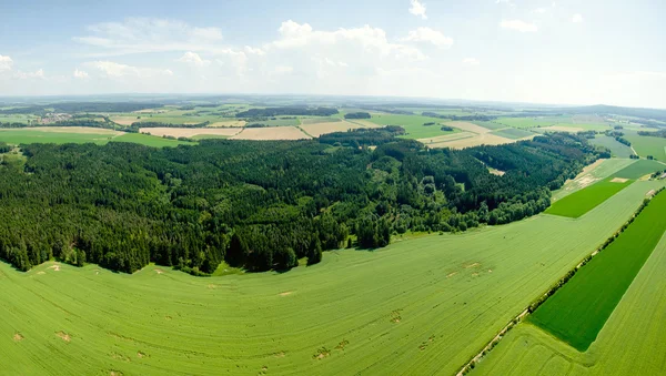 Сельский пейзаж с растительными полями — стоковое фото