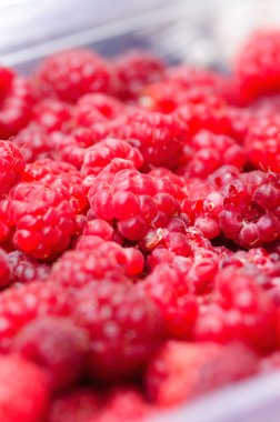 Tatlı Kırmızı Ahududu arka plan