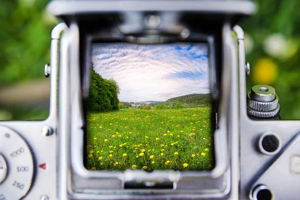 Tar en bild genom den gamla kameran på äng med gula maskros blommor — Stockfoto
