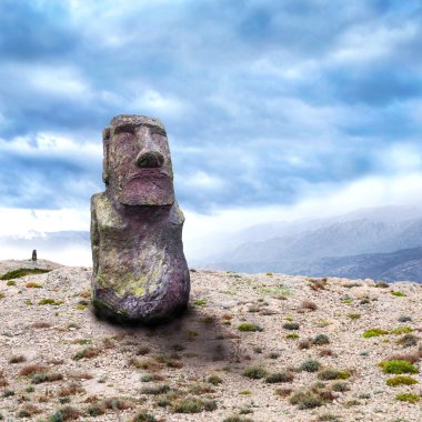 Moai heykel öğleden sonra güneşin City