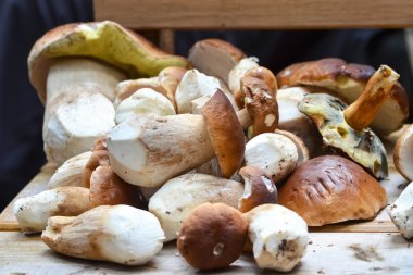 Mantar Boletus ahşap arka plan üzerinde bir sürü
