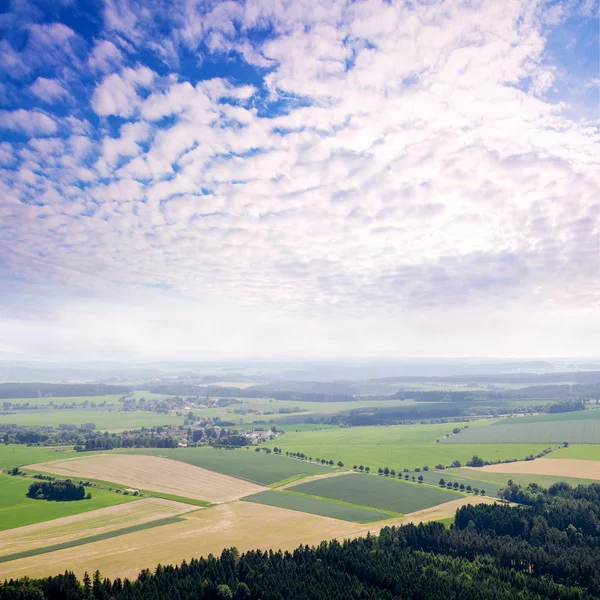 Rurale landschap achtergrond met plantaardige velden — Stockfoto