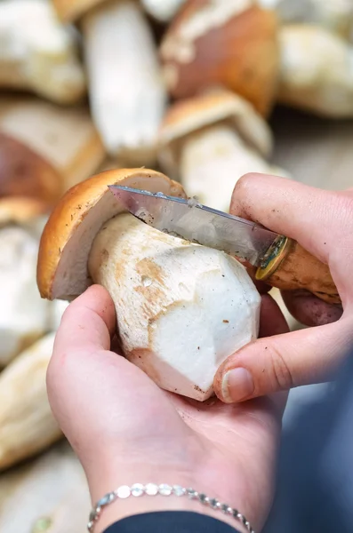 Hand holding mushroom and cleaning it by knife — Stock Photo, Image