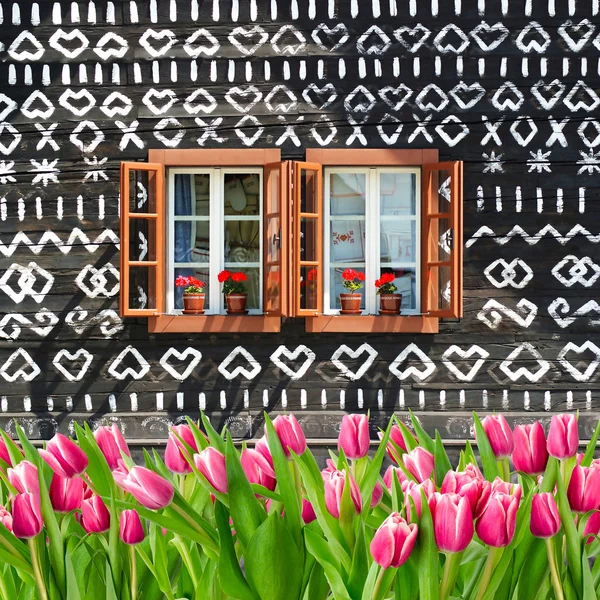 Um monte de tulipas na frente da casa de verão de madeira pintada — Fotografia de Stock