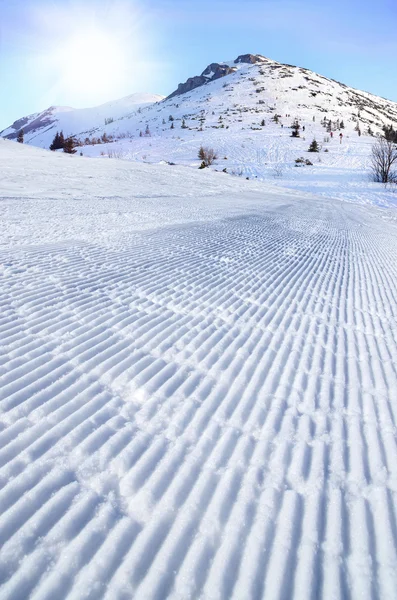 新鲜的雪美容师轨道上与天空背景的滑雪滑雪 — 图库照片