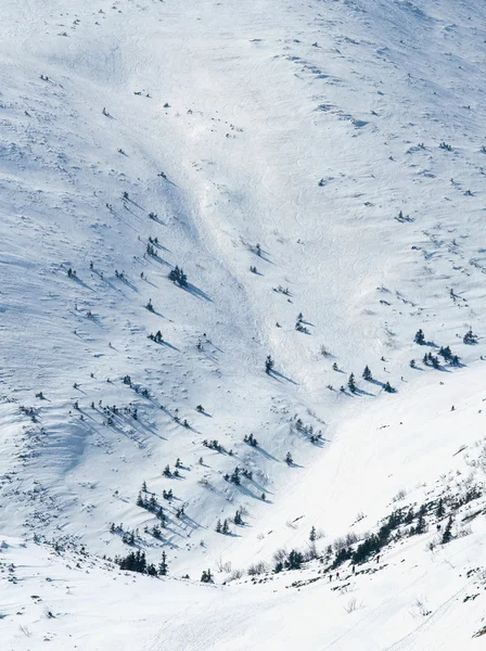 Bakgrund av backe med snö vinterlandskap — Stockfoto