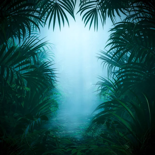 Misty Selva Natureza Quadro Ilustração Fundo Misterioso Floresta Tropical Com — Fotografia de Stock