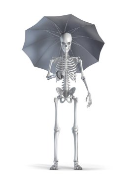 Skeleton with umbrella - 3D illustration of male human skeleton figure holding umbrella isolated on white studio background clipart