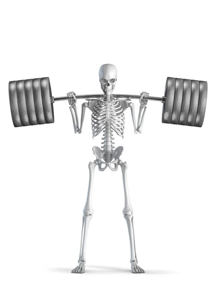 Fitness Skeleton Squat Ilustrace Mužské Lidské Kostry Postava Dřepící Těžké — Stock fotografie