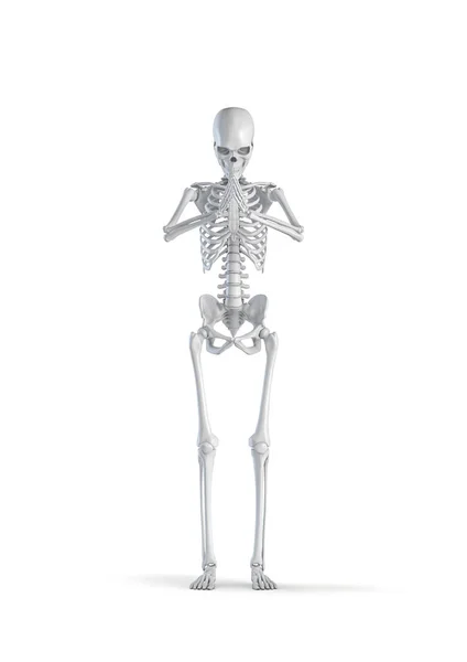 Modlący Się Szkielet Ilustracja Kobiecej Figury Ludzkiego Szkieletu Trzymającej Się — Zdjęcie stockowe