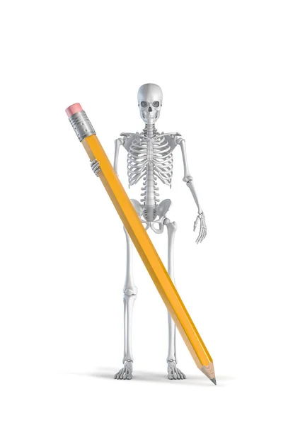 Skeleton Creativity Concept Illustration Male Human Skeleton Figure Holding Giant — Stock Photo, Image